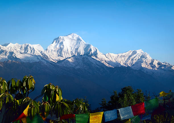 Ghorepani Poon Hill 